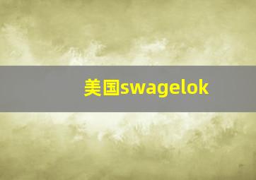 美国swagelok