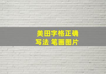 美田字格正确写法 笔画图片