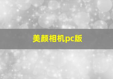 美颜相机pc版