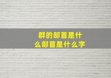 群的部首是什么部首是什么字