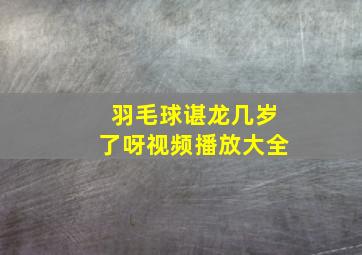 羽毛球谌龙几岁了呀视频播放大全