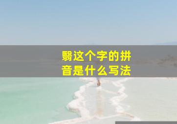 翳这个字的拼音是什么写法