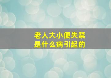 老人大小便失禁是什么病引起的