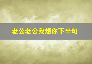 老公老公我想你下半句