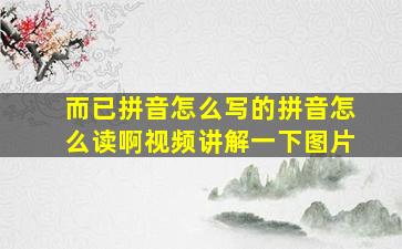 而已拼音怎么写的拼音怎么读啊视频讲解一下图片