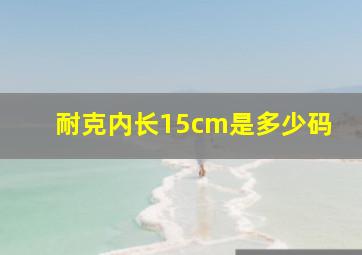 耐克内长15cm是多少码