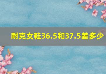 耐克女鞋36.5和37.5差多少