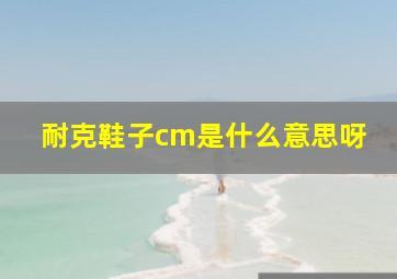 耐克鞋子cm是什么意思呀