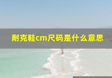 耐克鞋cm尺码是什么意思