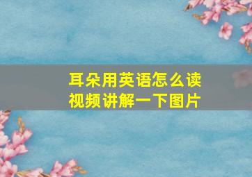 耳朵用英语怎么读视频讲解一下图片