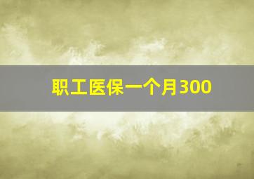 职工医保一个月300