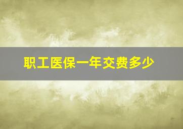 职工医保一年交费多少