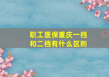 职工医保重庆一档和二档有什么区别