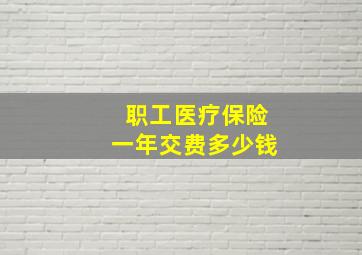 职工医疗保险一年交费多少钱