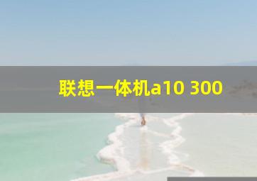 联想一体机a10 300