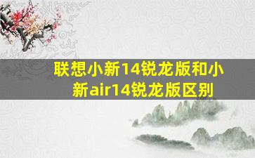 联想小新14锐龙版和小新air14锐龙版区别