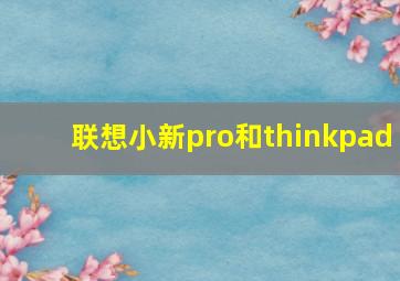 联想小新pro和thinkpad