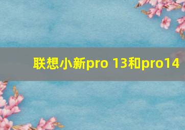 联想小新pro 13和pro14