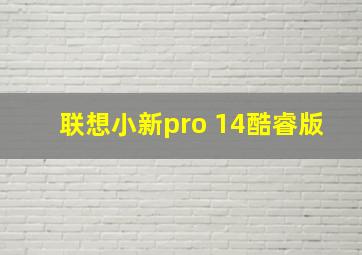 联想小新pro 14酷睿版