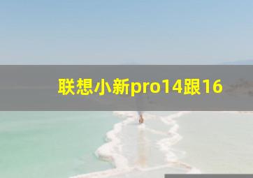 联想小新pro14跟16