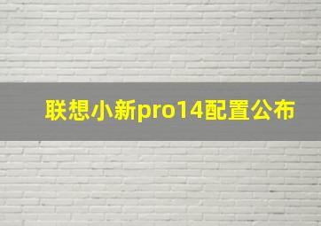 联想小新pro14配置公布