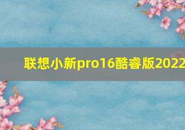 联想小新pro16酷睿版2022