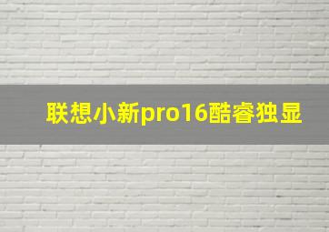 联想小新pro16酷睿独显