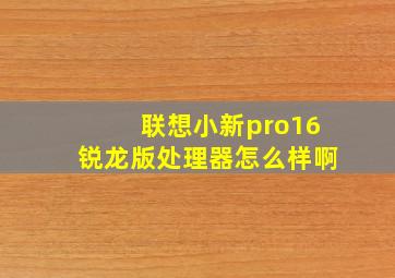 联想小新pro16锐龙版处理器怎么样啊