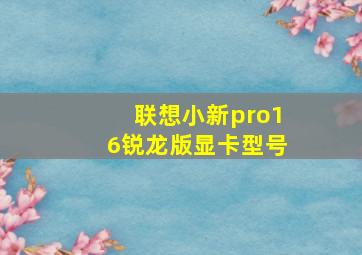 联想小新pro16锐龙版显卡型号