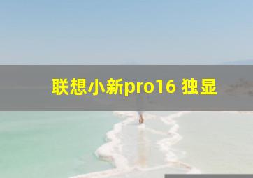 联想小新pro16 独显