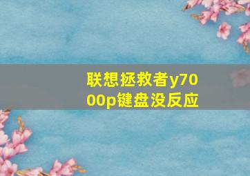 联想拯救者y7000p键盘没反应