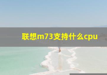 联想m73支持什么cpu