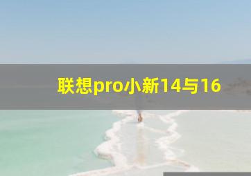 联想pro小新14与16