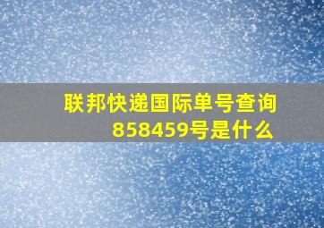 联邦快递国际单号查询858459号是什么