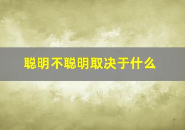 聪明不聪明取决于什么