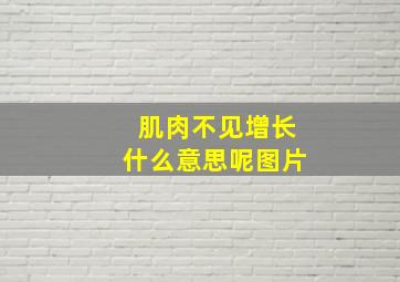 肌肉不见增长什么意思呢图片