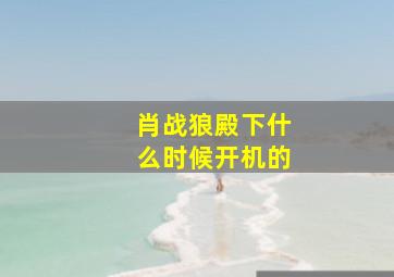 肖战狼殿下什么时候开机的