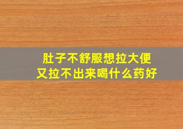 肚子不舒服想拉大便又拉不出来喝什么药好