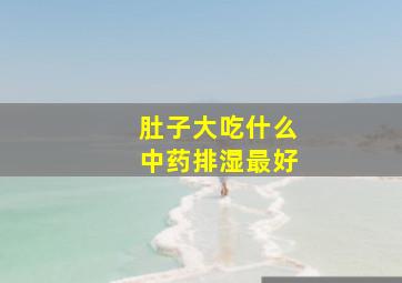 肚子大吃什么中药排湿最好