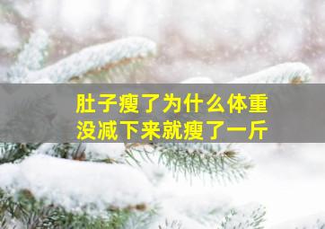 肚子瘦了为什么体重没减下来就瘦了一斤