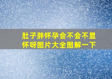 肚子胖怀孕会不会不显怀呀图片大全图解一下