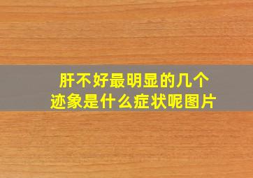 肝不好最明显的几个迹象是什么症状呢图片