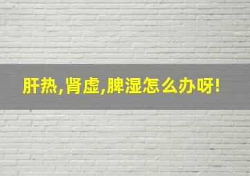 肝热,肾虚,脾湿怎么办呀!