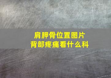 肩胛骨位置图片背部疼痛看什么科