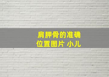 肩胛骨的准确位置图片 小儿