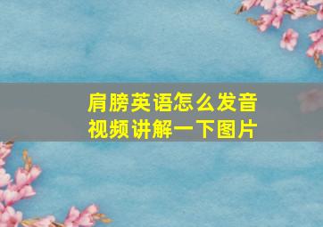 肩膀英语怎么发音视频讲解一下图片