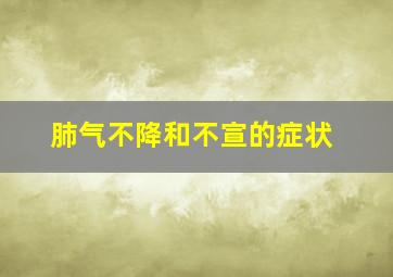 肺气不降和不宣的症状