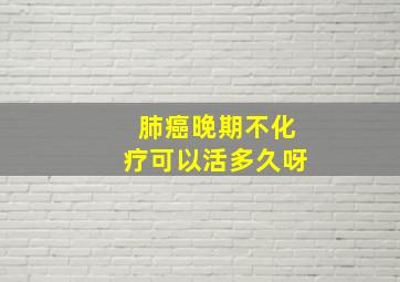 肺癌晚期不化疗可以活多久呀