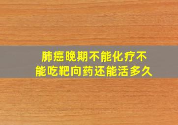 肺癌晚期不能化疗不能吃靶向药还能活多久