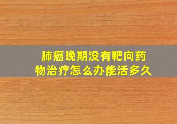 肺癌晚期没有靶向药物治疗怎么办能活多久